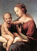 RAFFAELLO Sanzio Madonna and Child oil